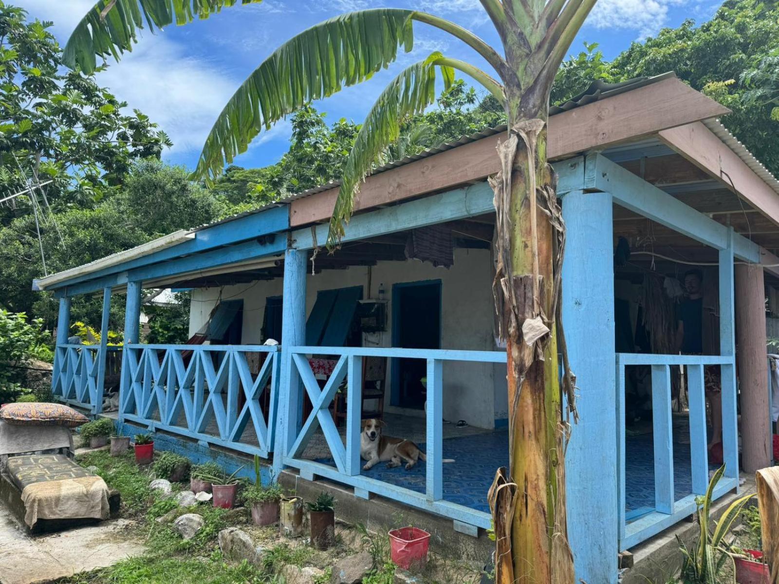 Lusis Homestay Lautoka Ngoại thất bức ảnh